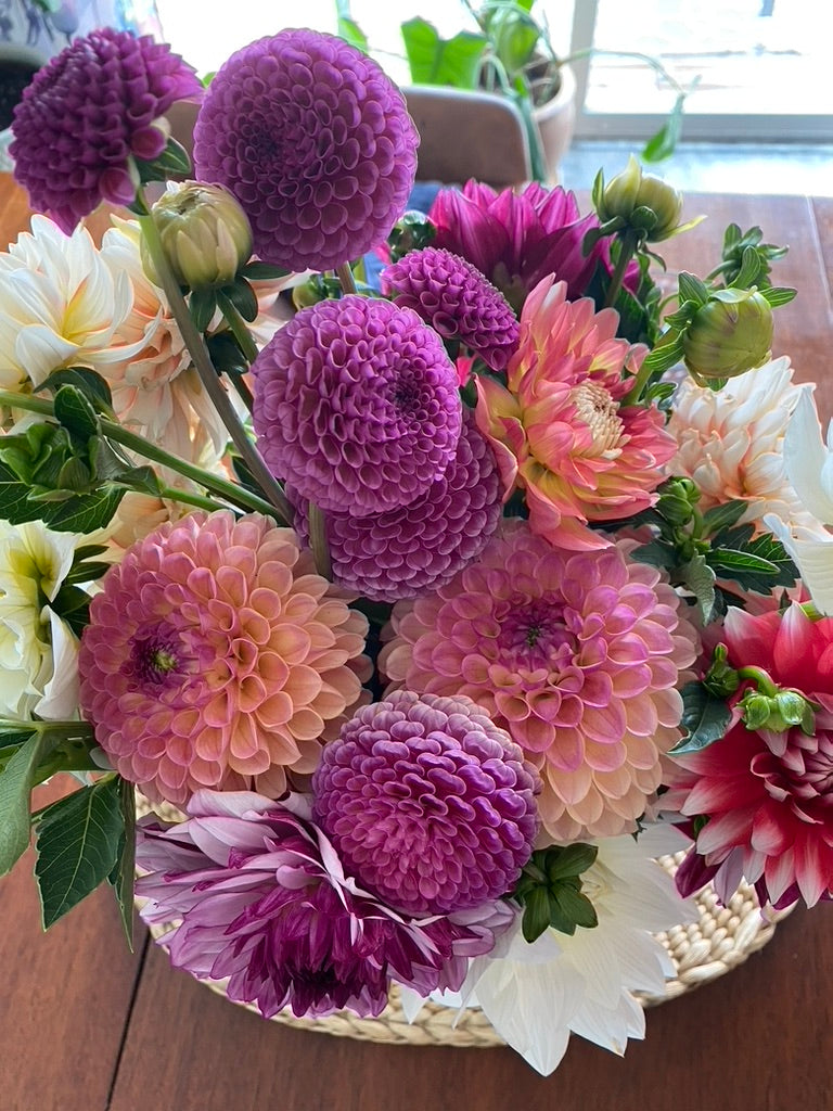 Grower’s Bundle of 8