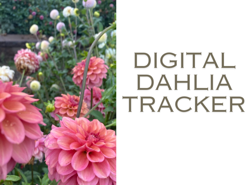 Digital Dahlia Tracker *UPDATED