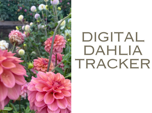 Digital Dahlia Tracker *UPDATED